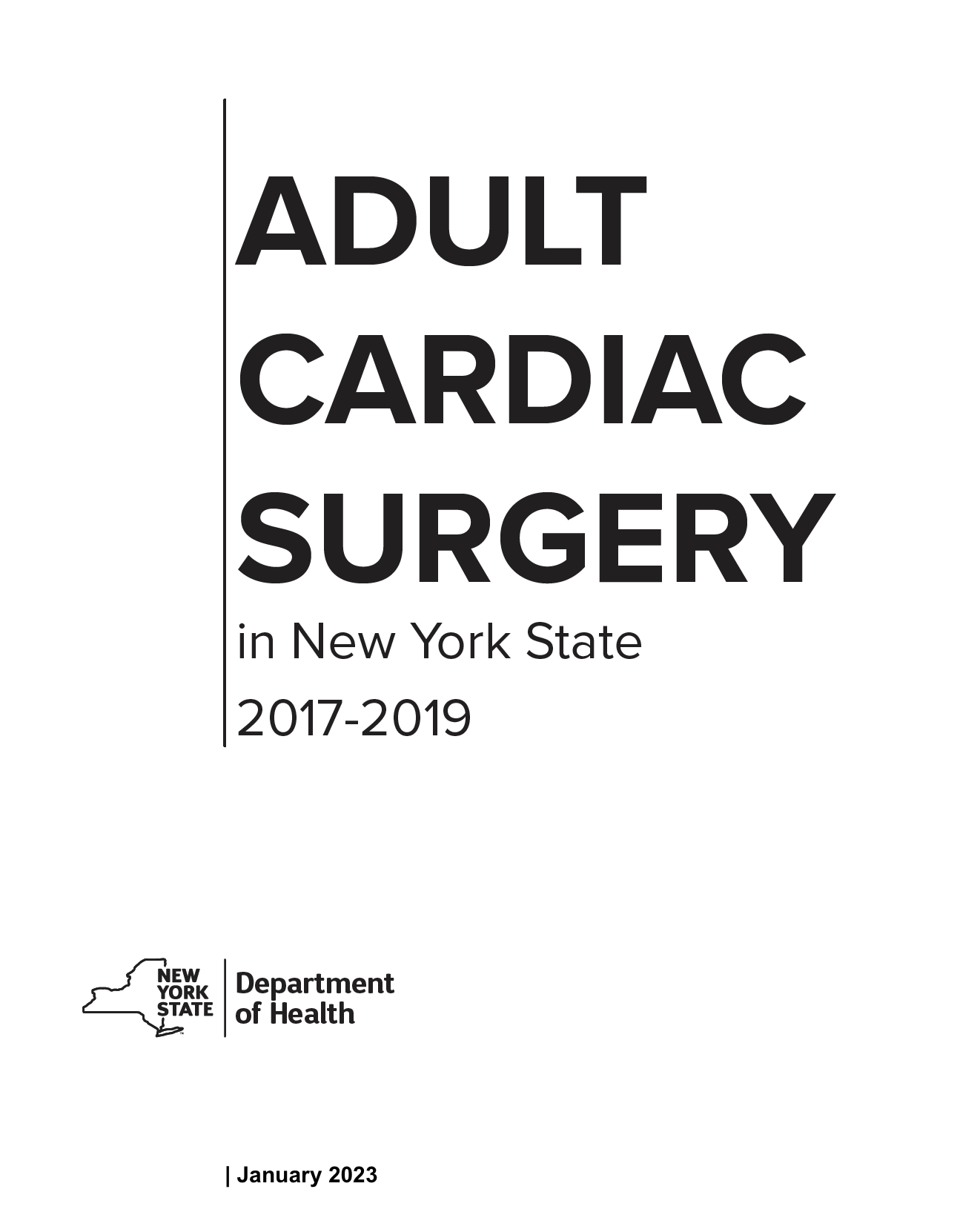 NY State Report from 2017 to 2019 Adult Cardiac surgery 